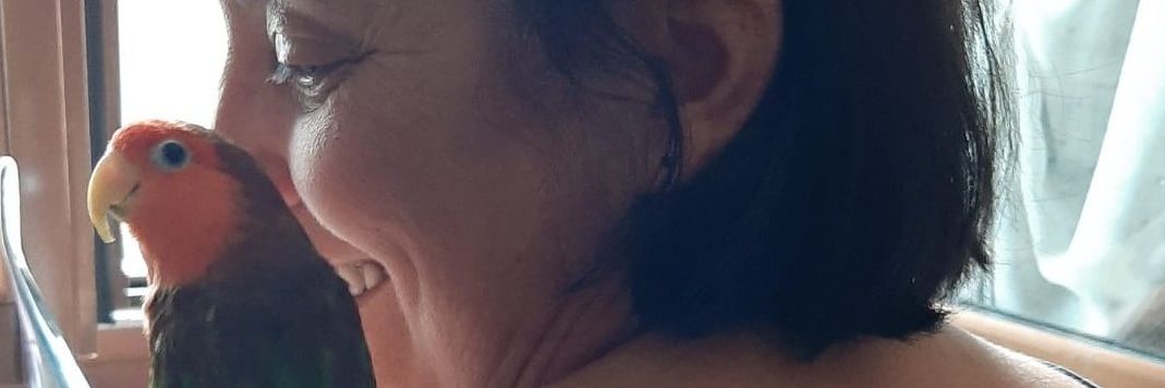 brossin43's profile banner image