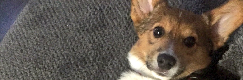 ANGIMAMA09's profile banner image