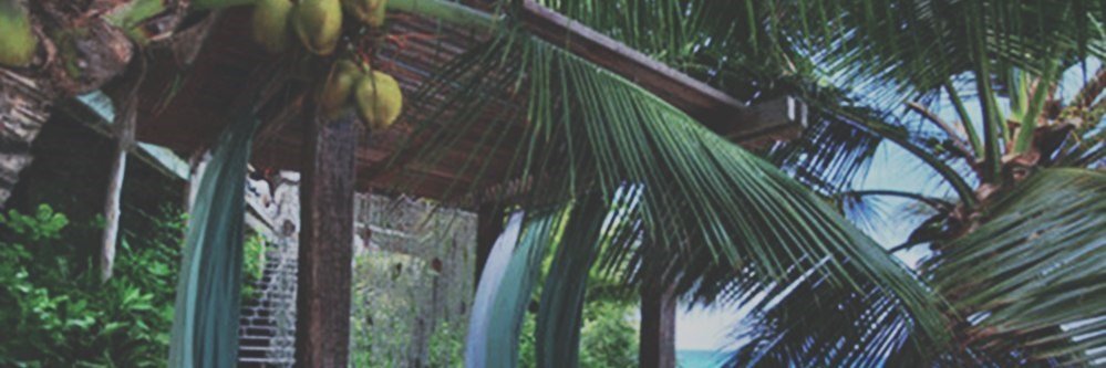 DylanChaDW98's profile banner image