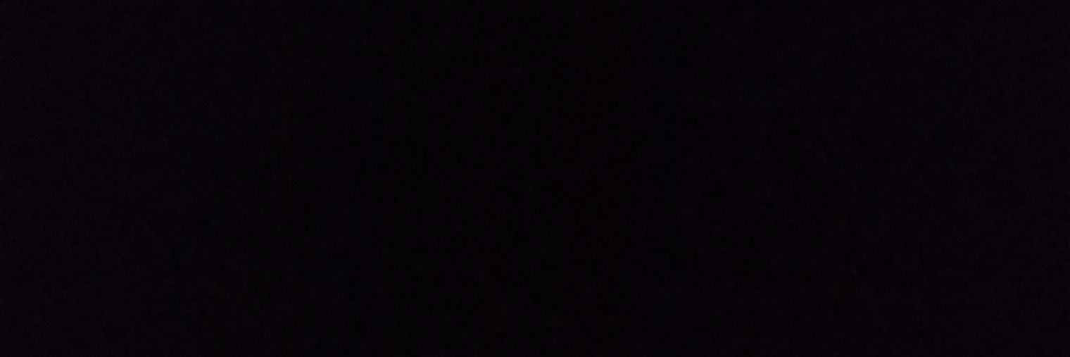 beeacastag1's profile banner image