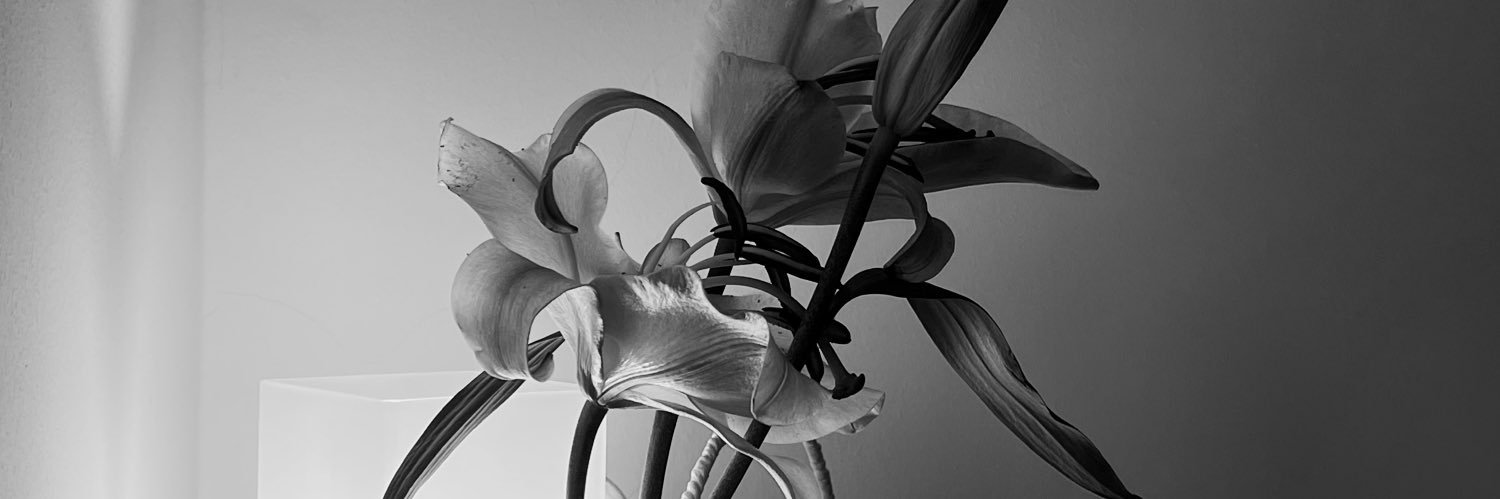 olivia banner