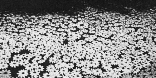 SnowdonSCAL's profile banner image