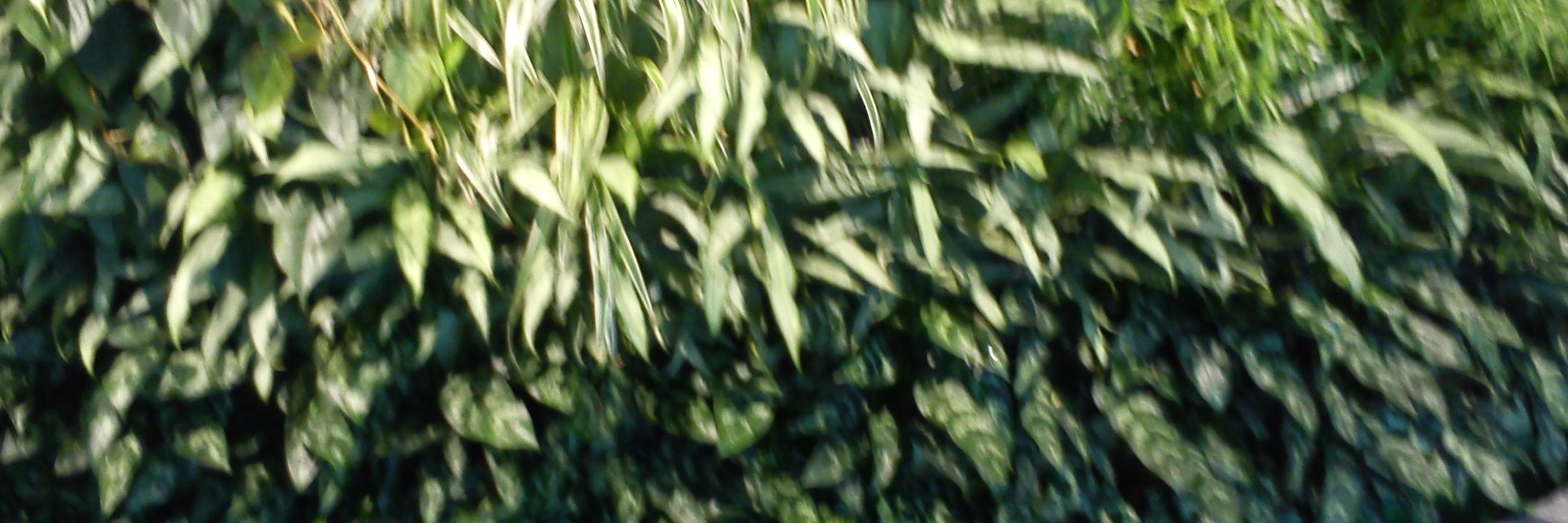 omnisa's profile banner image