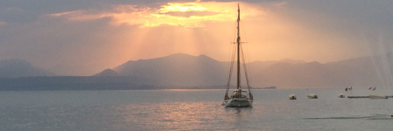 Fedde Matthijssen banner