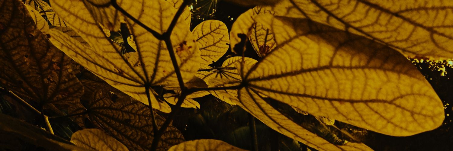 balajionlive's profile banner image