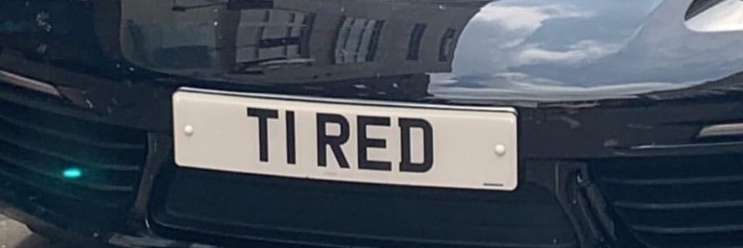 mary 🦕 banner