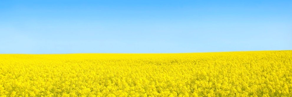 sjorg's profile banner image