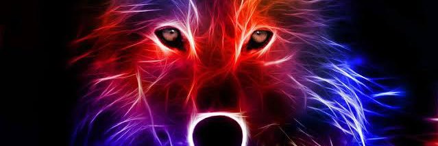 Wolf Pack banner
