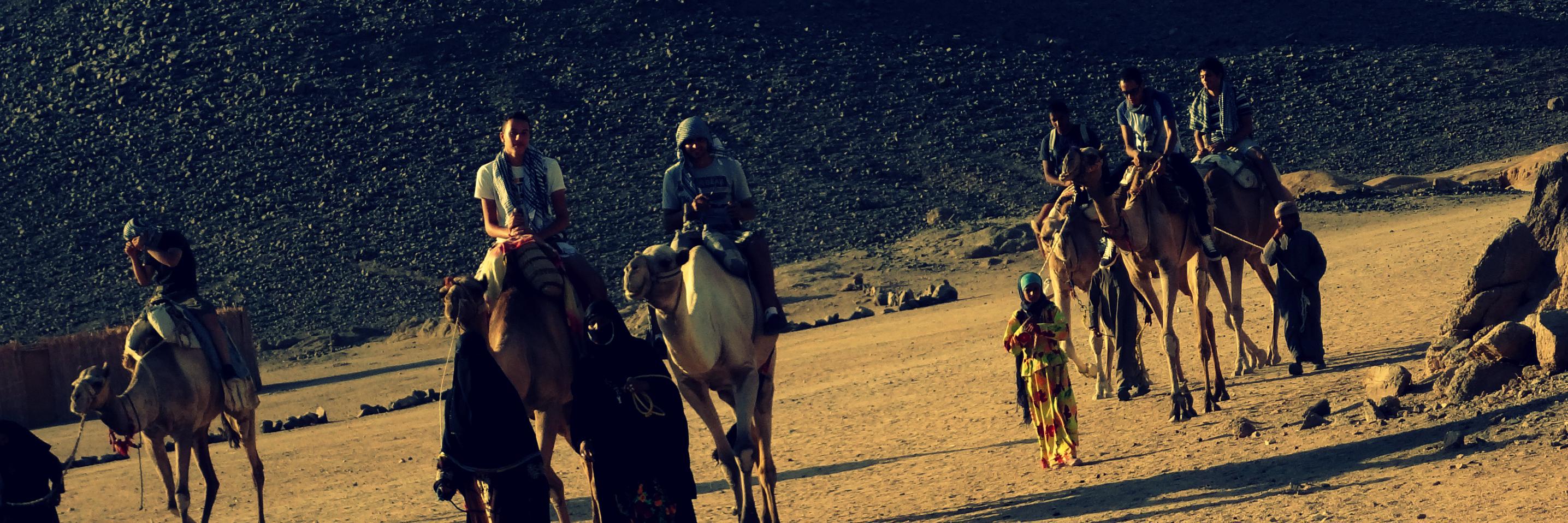 m7mdfadel's profile banner image