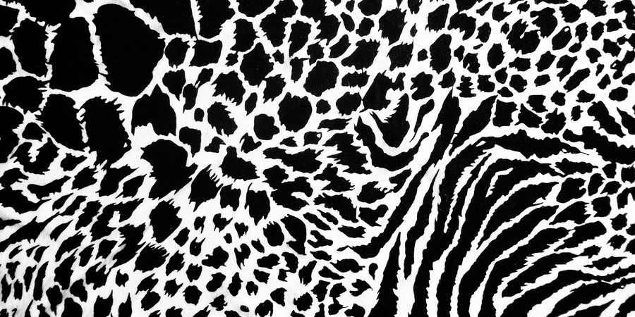 RKHO_ID's profile banner image