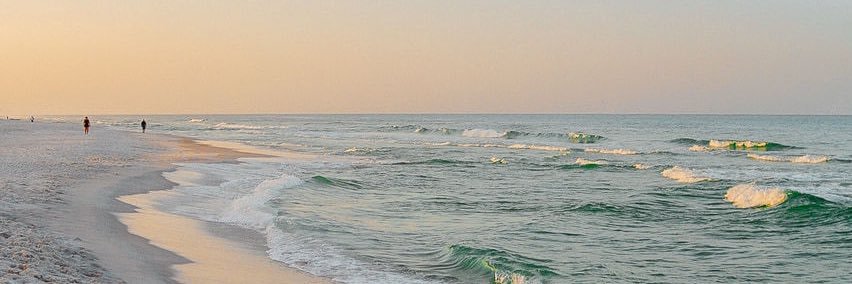 nataliehowey's profile banner image