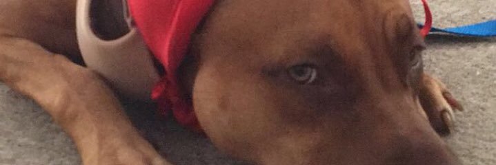 _Mark105's profile banner image