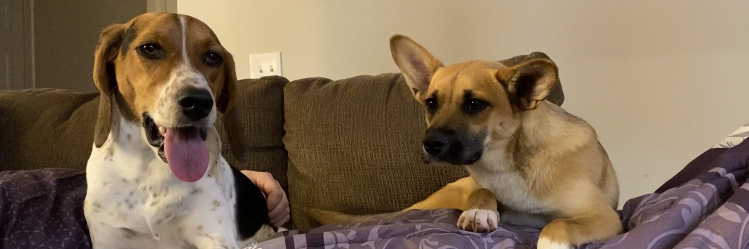 AmandaLeeHead's profile banner image