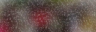 Wuwu.base.eth | 🦙🔥 🍊,💊 | π² banner