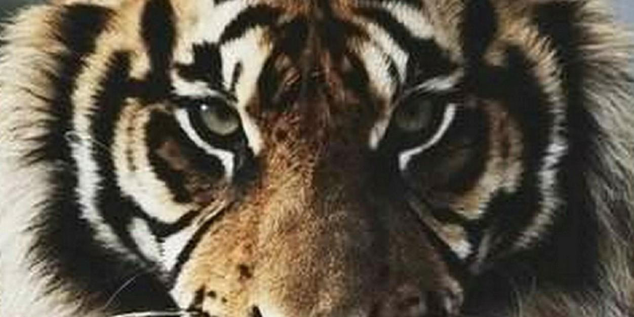 amitk2525's profile banner image
