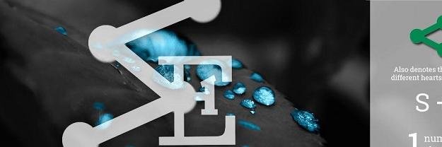 shareeveryone's profile banner image