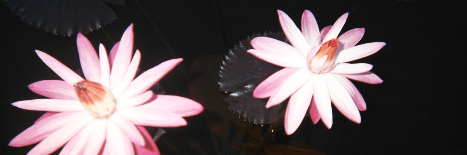 deefffinitely's profile banner image
