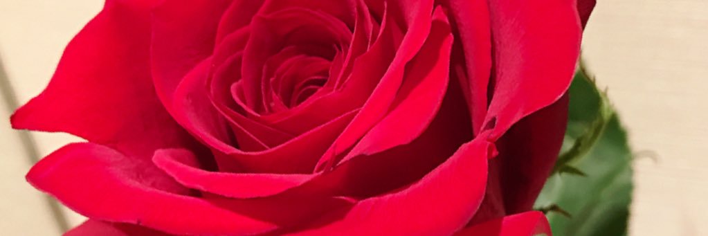 hiron_sun's profile banner image