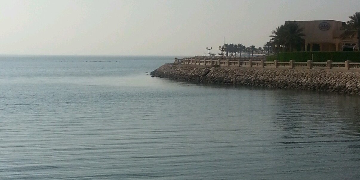 Zalmulla's profile banner image