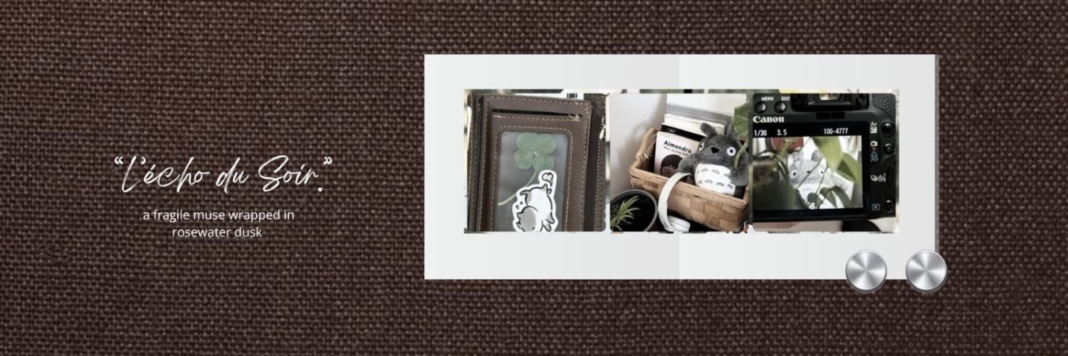 ⟡ anne ✿ banner