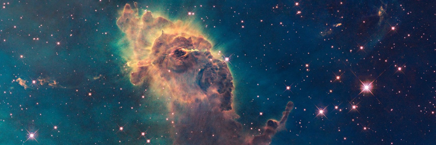 Jeroen Koenraadt banner