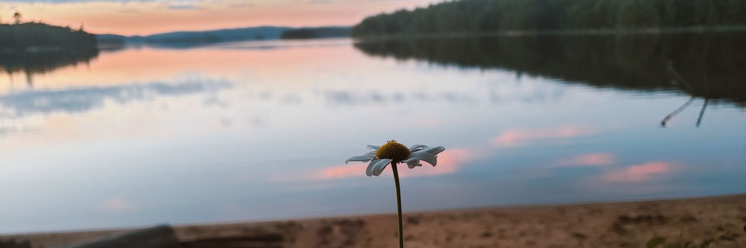 danaesbb's profile banner image