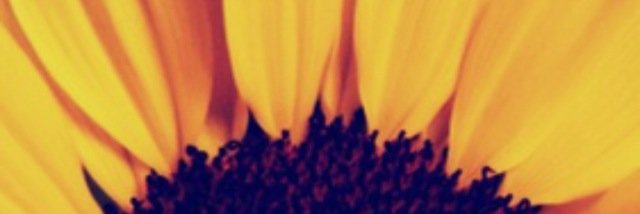 AmberWheatland's profile banner image