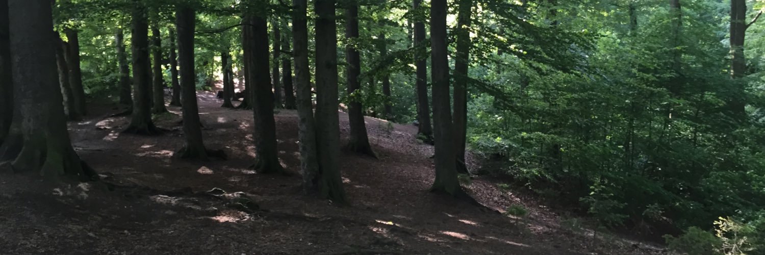 marcel_hah's profile banner image