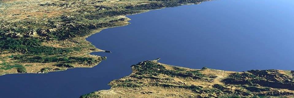 Carlos Pereda banner