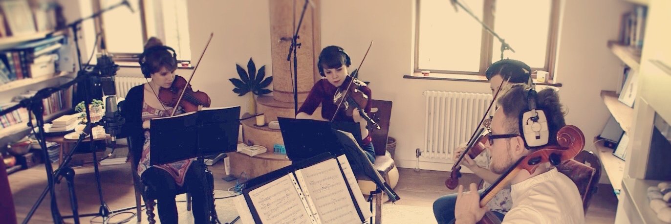 IntegraStrings's profile banner image