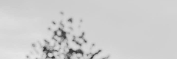 avifhakim's profile banner image