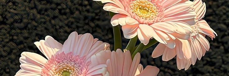 JustemptyM's profile banner image