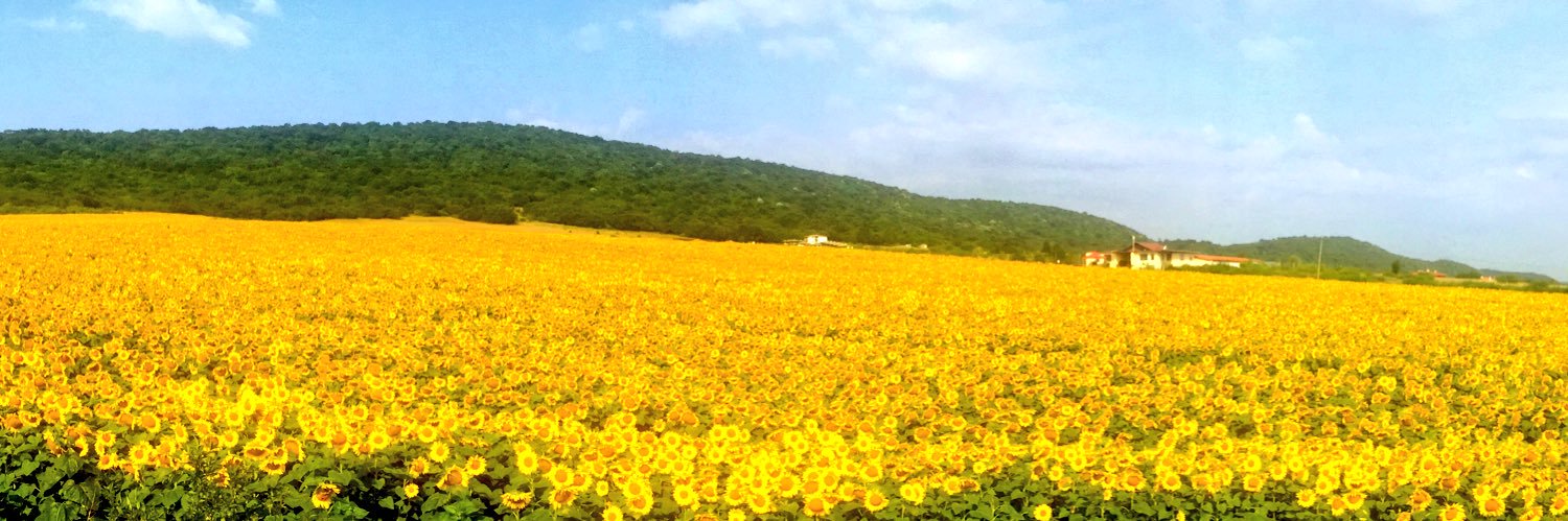 Alan O’Rourke banner