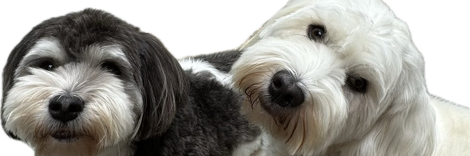 Ingrid Pino Duran #Latinas4Harris banner