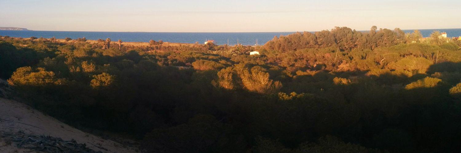 AlbertoASMM's profile banner image