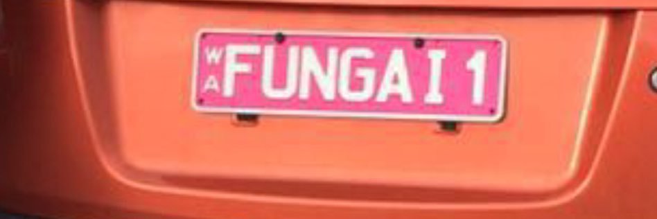 tinfun's profile banner image