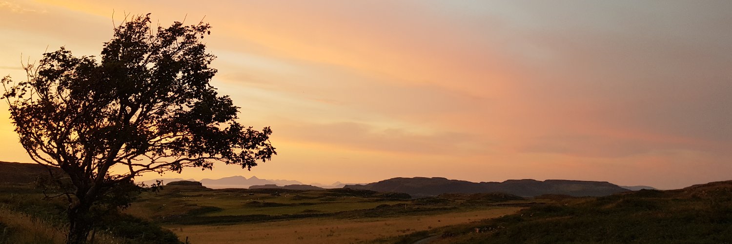 Wendles1967's profile banner image