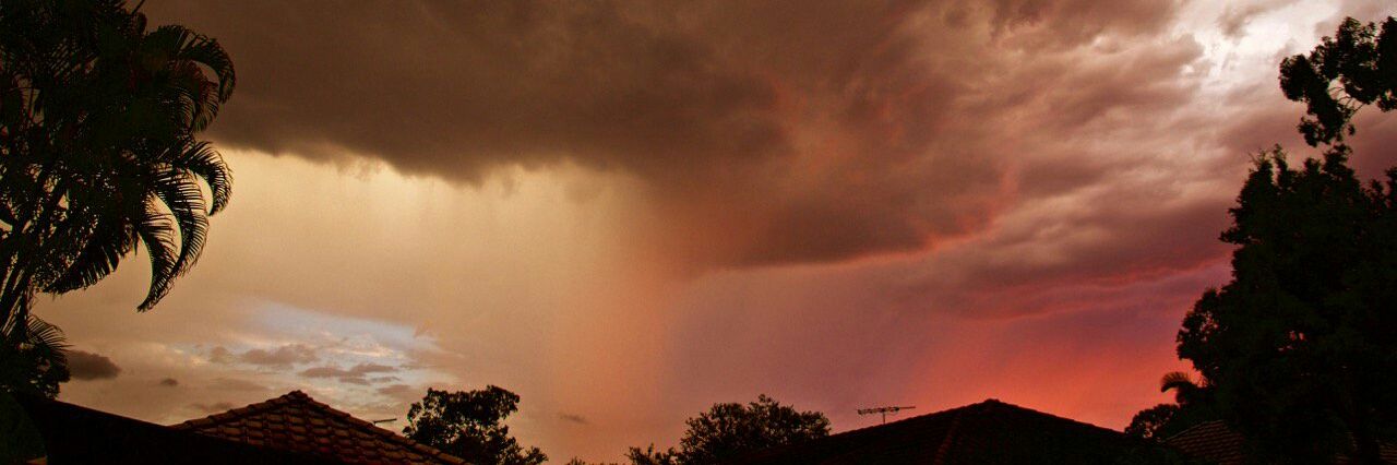 David Mcsween banner