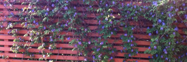 oonrecha Profile Banner