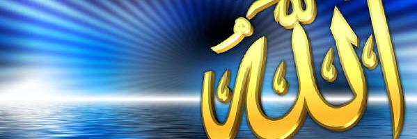 mohemd493's profile banner image