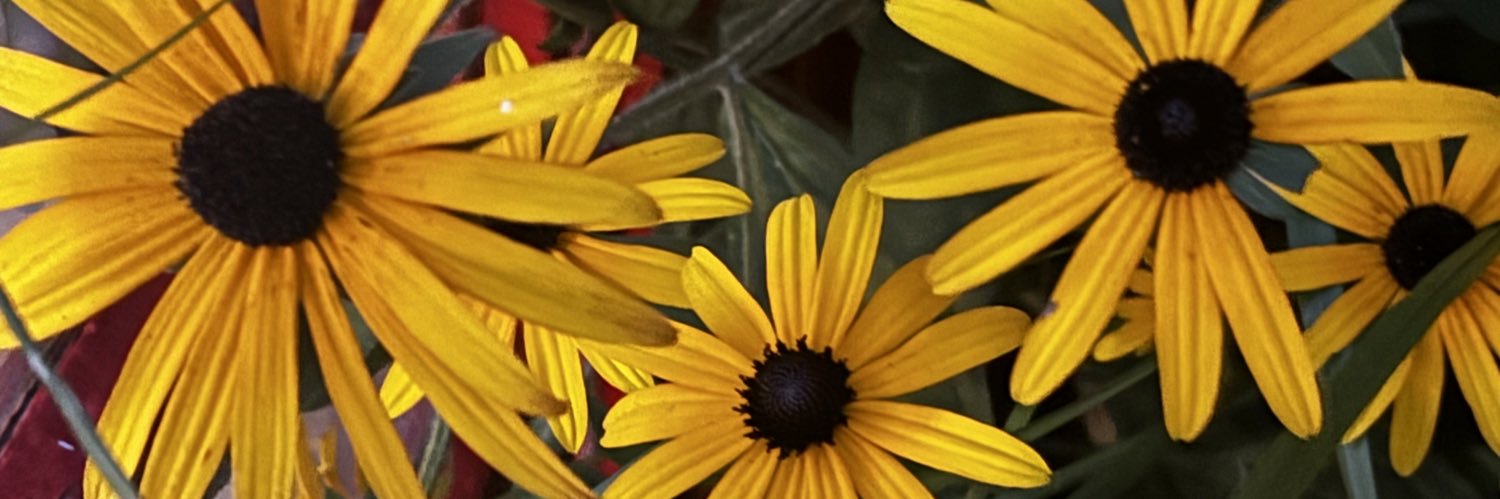 PrincessCarCar's profile banner image
