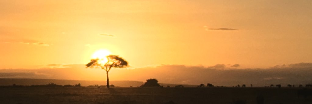 Vko3191's profile banner image