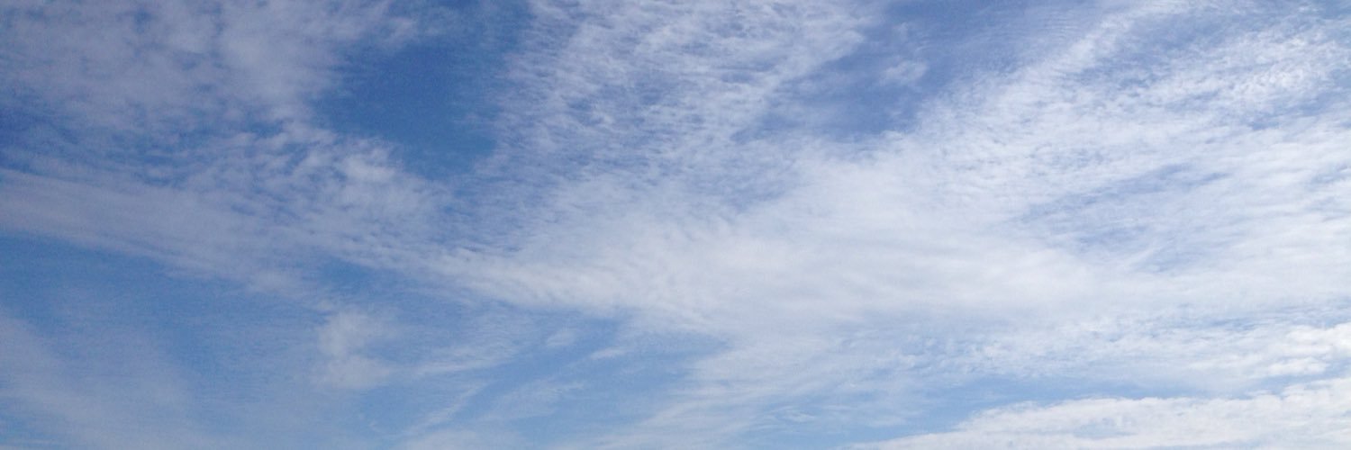 Bee_PPTV's profile banner image