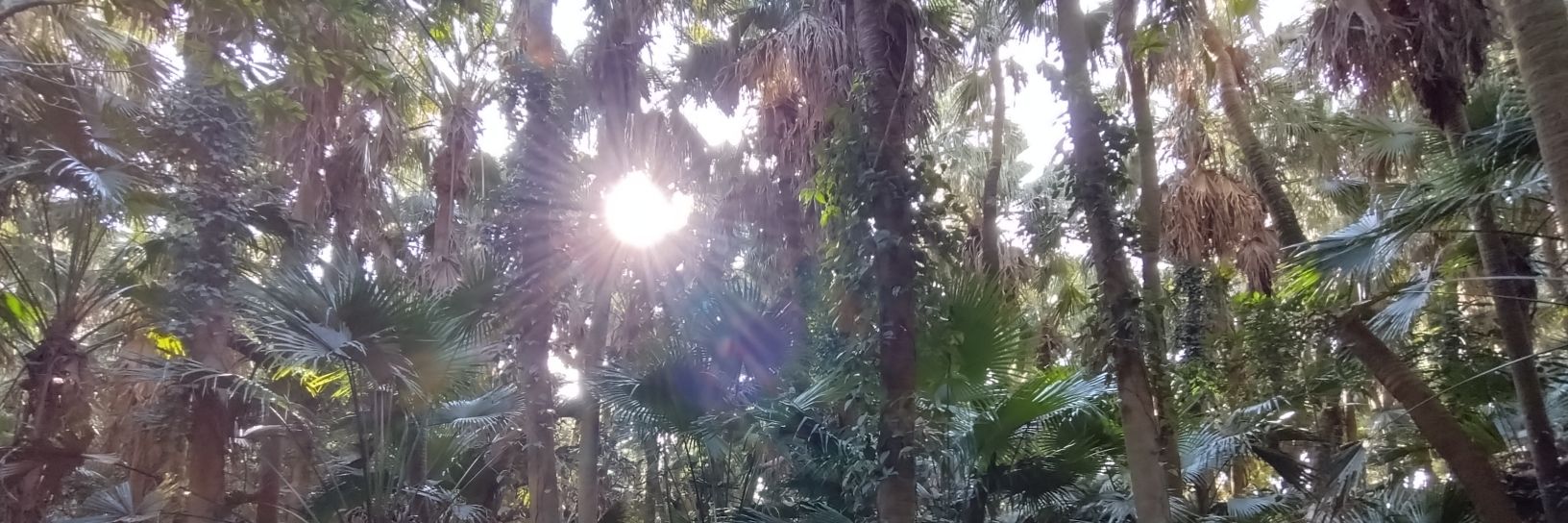 chie takehara 竹原千恵 banner