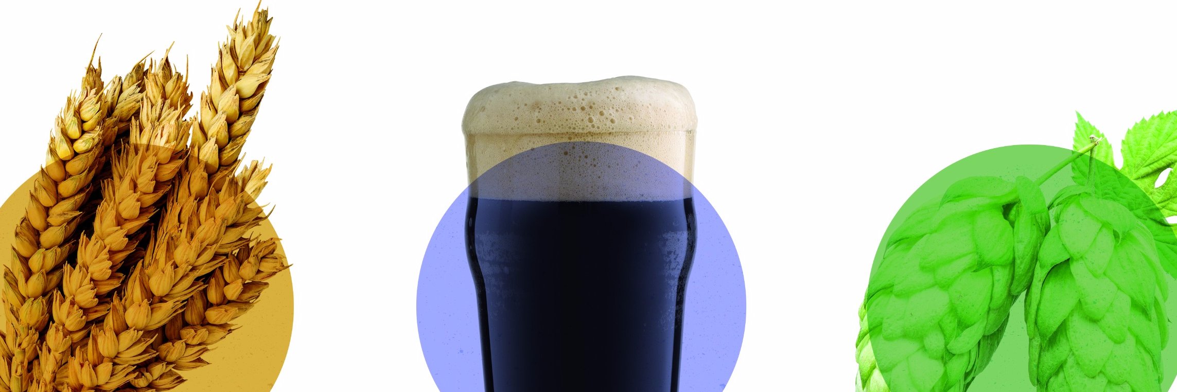 brewmarket's profile banner image