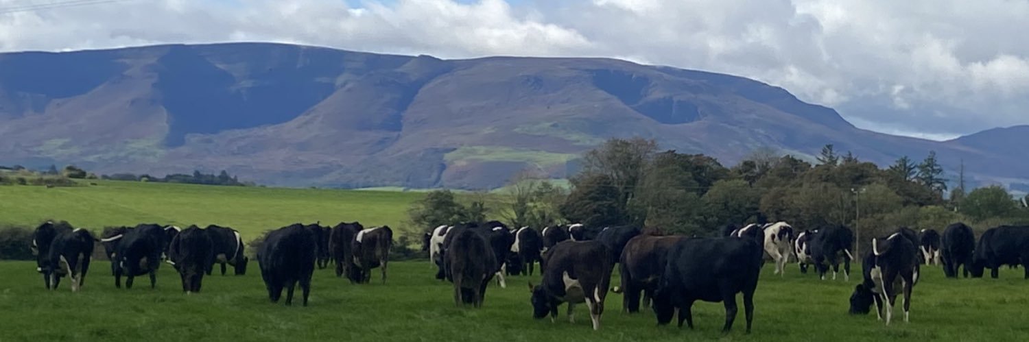 j86carroll's profile banner image