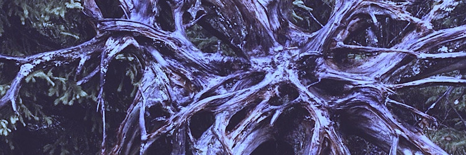 LoukaGo's profile banner image
