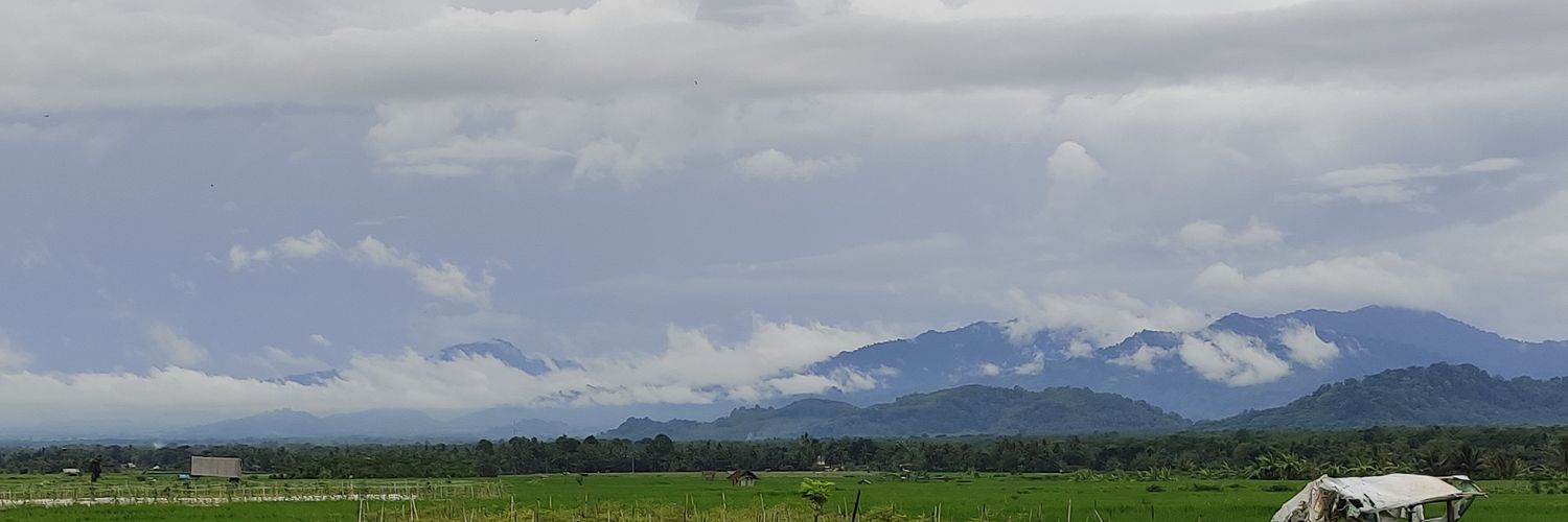 ehrindafn's profile banner image