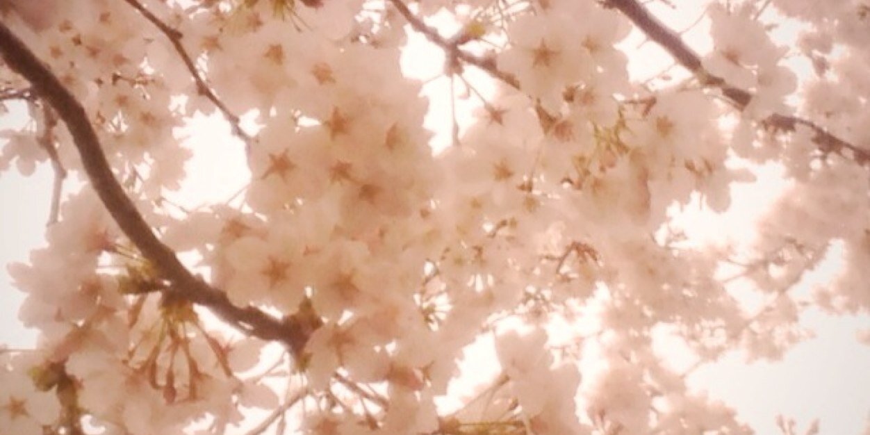 mokichi0804's profile banner image