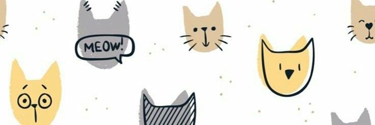 darwindara's profile banner image